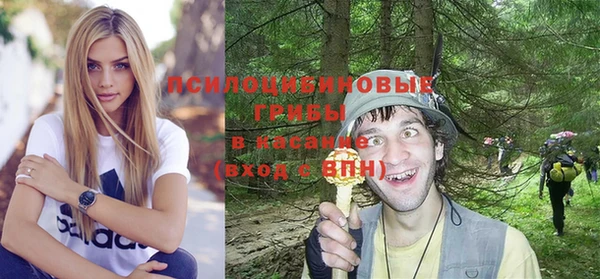 крисы Киреевск
