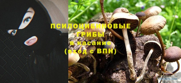 PSILOCYBIN Кинешма