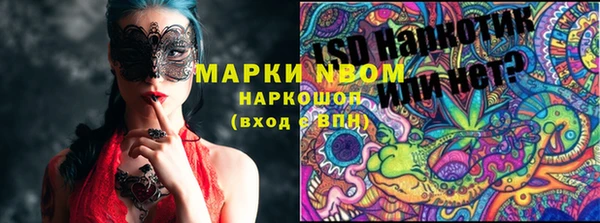 PSILOCYBIN Кинешма