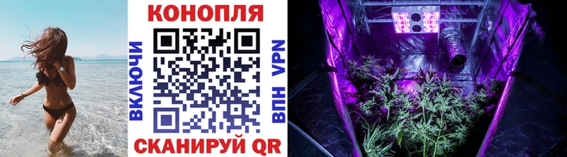 МАРИХУАНА тримм Купить Губкинский